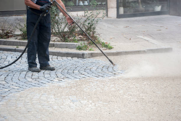 Animal Enclosure Cleaning in Sumner, WA