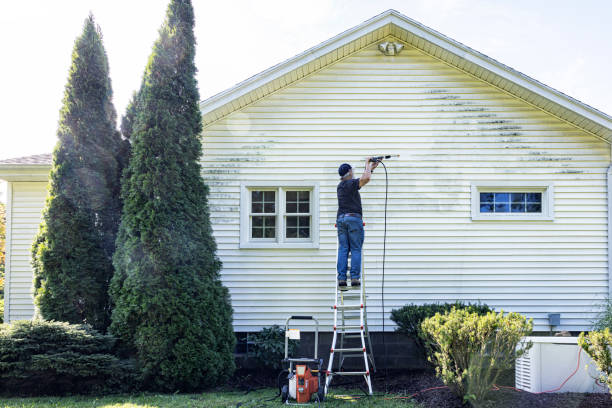 Best Patio and Deck Pressure Washing  in Sumner, WA